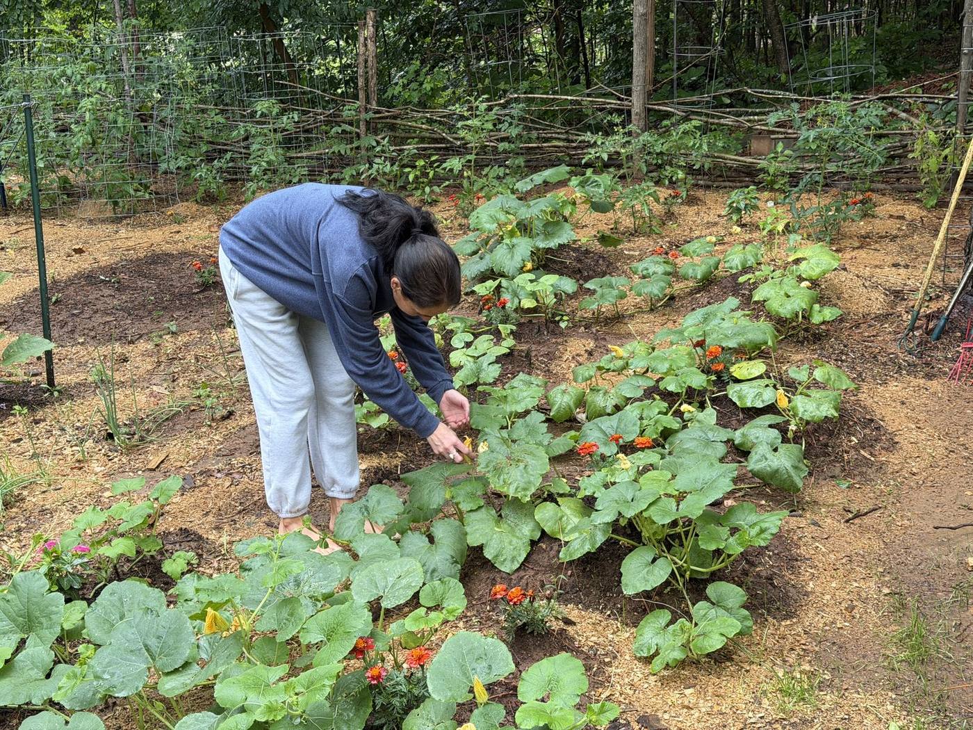 Tending the garden beds