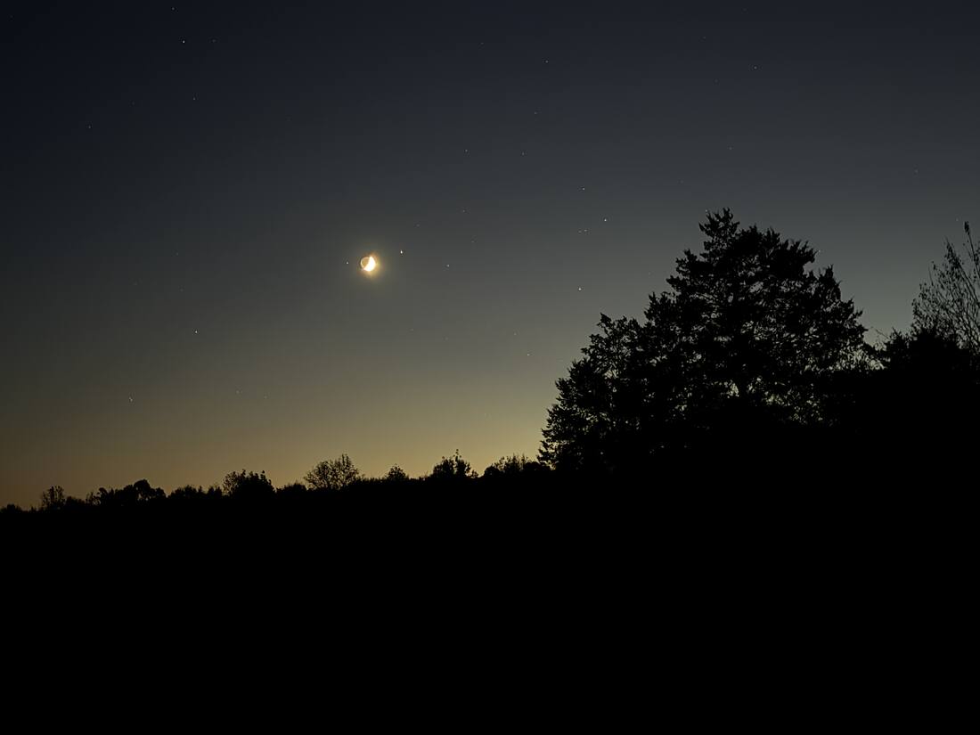 Night moon