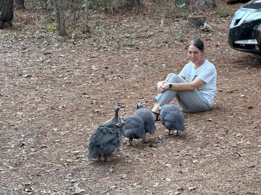 Shannon with the guineas