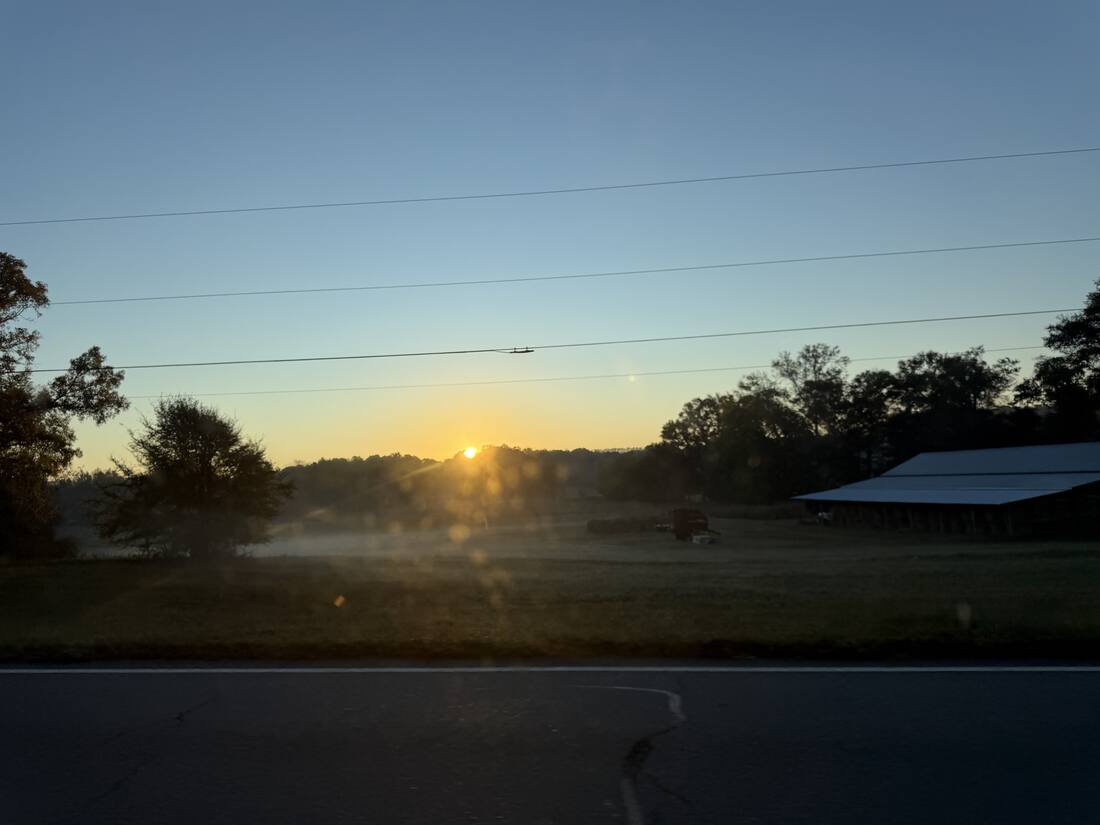 Sunrise over the field